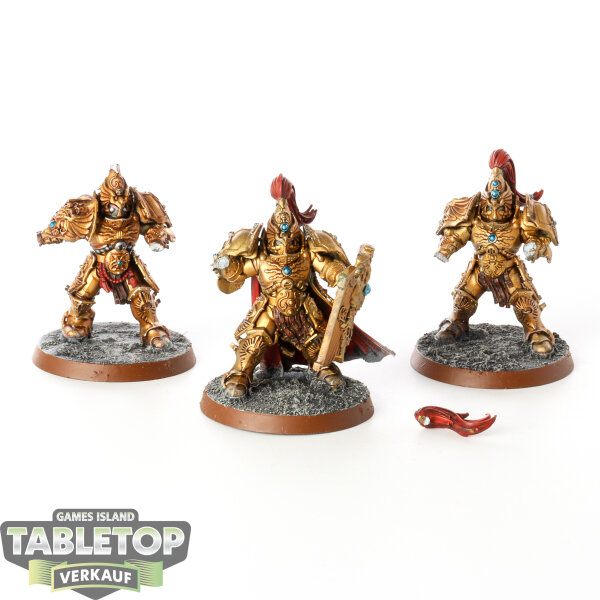 Adeptus Custodes - 3x Custodian Guard- unvollständig - bemalt