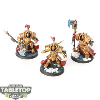 Adeptus Custodes - 3 Allarus Custodians - bemalt