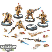 Adeptus Custodes - 5 Custodian Guard - bemalt