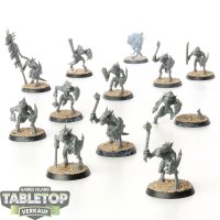 Seraphon - 12 x Saurus Warrior klassisch - teilweise bemalt