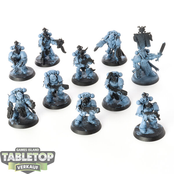 Space Marines - 10x Grey Hunters - teilweise bemalt