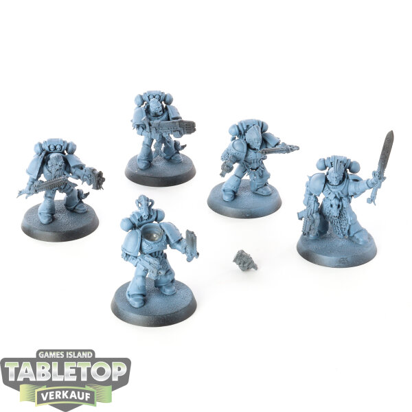 Space Marines - 5x Space Wolves Blood Claws - teilweise bemalt