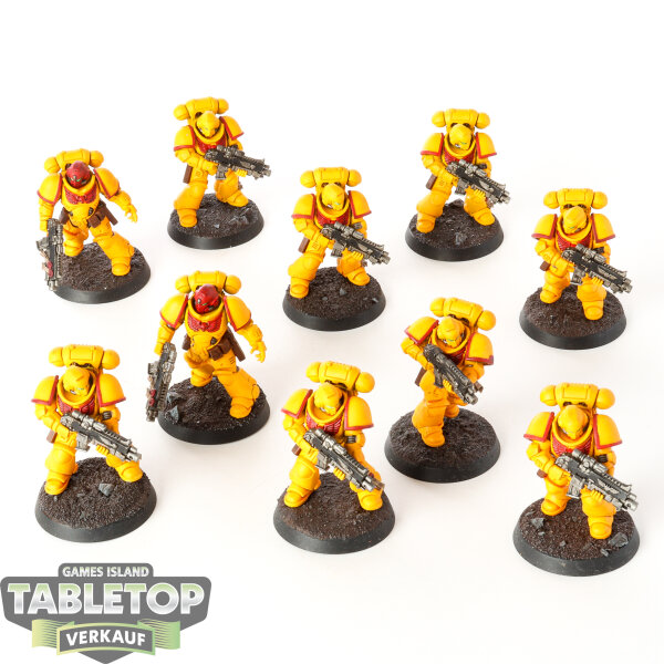Space Marines - 10x Intercessors - bemalt