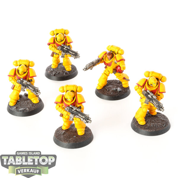 Space Marines - 5x Intercessors - bemalt