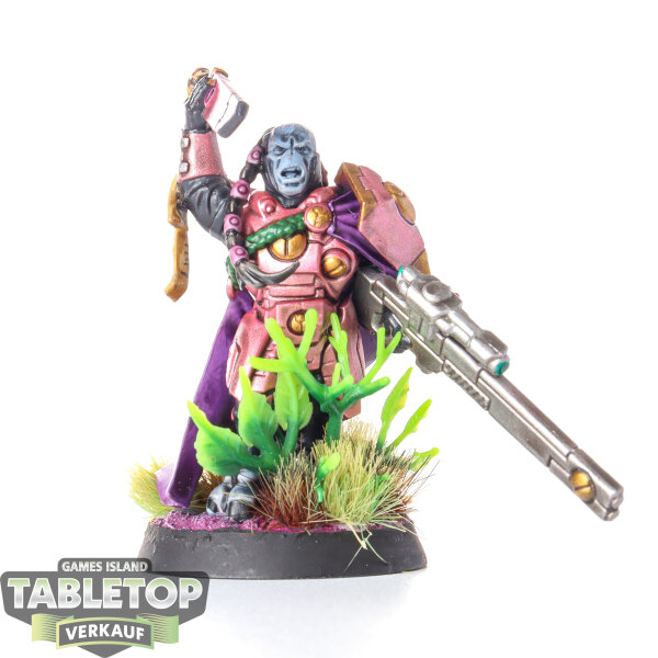 Tau Empire - Cadre Fireblade - bemalt