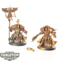 Adeptus Custodes - 2x Allarus Custodians - grundiert