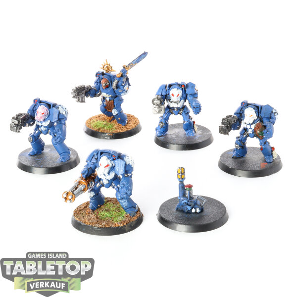 Space Marines - 5 x Terminator Squad klassisch - bemalt