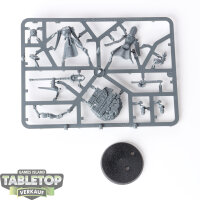 Stormcast Eternals - Knight-Arcanum - im Gussrahmen