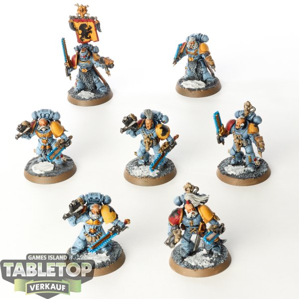 Space Wolves - 7x Grey Hunters - bemalt