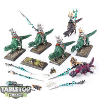 Dark Elves - 6 x Cold One Knights klassisch - bemalt