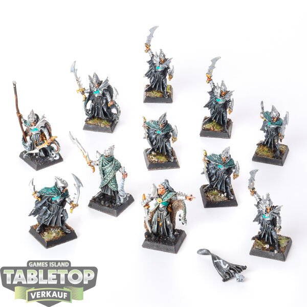 Dark Elves - 10 x Dark Elf Corsairs + Command Klassisch - bemalt