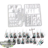 Dark Elves - 20 x Dark Elf Warrior Regiment - Spearmen -...