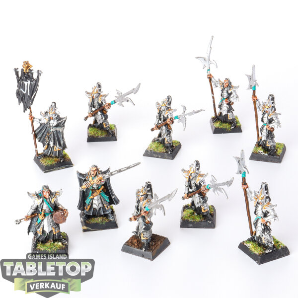 Dark Elves - 10 x Dark Elf Black Guard + Command klassisch - bemalt