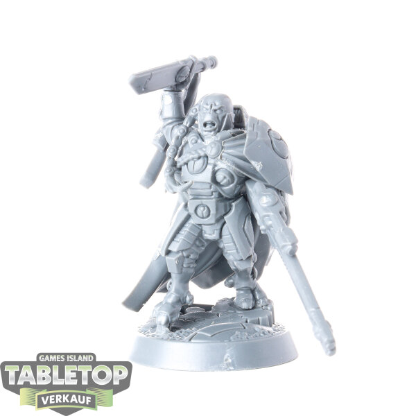 Tau Empire - Cadre Fireblade - unbemalt
