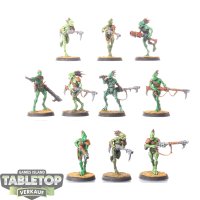 Tau Empire - 10 x Kroot Carnivores - bemalt