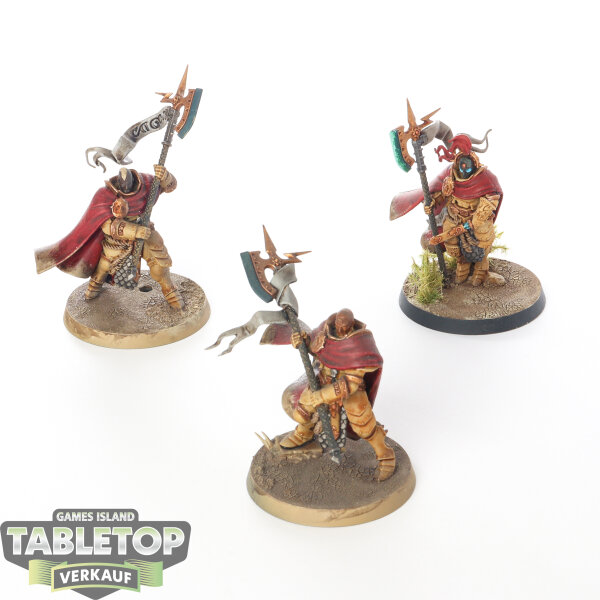 Stormcast Eternals - 3 x Praetors - bemalt