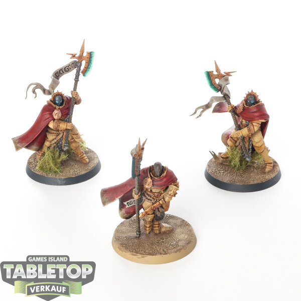 Stormcast Eternals - 3 x Praetors - bemalt