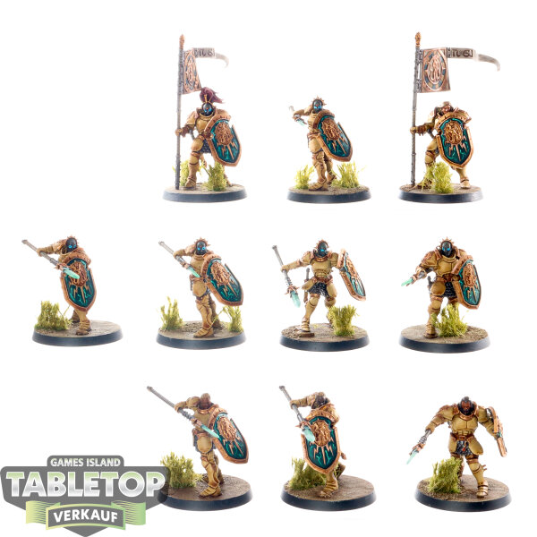 Stormcast Eternals - 10 x Vindictors - bemalt