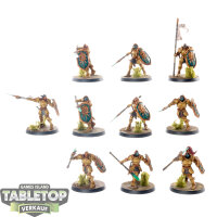 Stormcast Eternals - 10 x Vindictors - bemalt