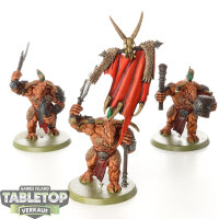 Beasts of Chaos - 3 x Minotaurs - bemalt