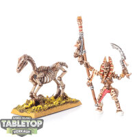 Tomb Kings of Khemri - Liche Priest on Horse - bemalt