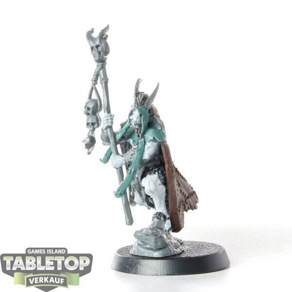 Beasts of Chaos - Great Bray-Shaman - teilweise bemalt