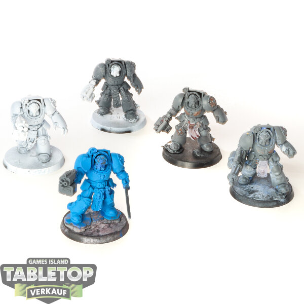 Space Marines - 5x Terminator Squad - teilweise bemalt