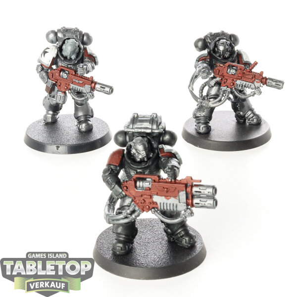 Black Templars - 3x Primaris Eradicators - bemalt