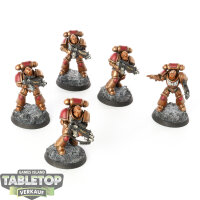 Space Marines - 5 Intercessors - bemalt