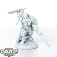 Tau Empire - Cadre Fireblade - grundiert