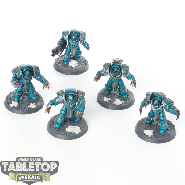 Horus Heresy - 5x Legion Cataphractii Terminator Squad - teilweise bemalt