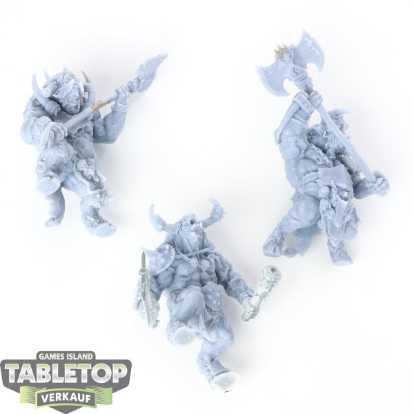 Beasts of Chaos - 3x Bullgors - unbemalt