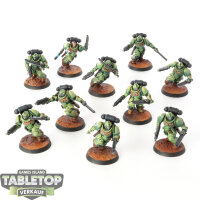 Space Marines - 10x Assault Intercessors - bemalt