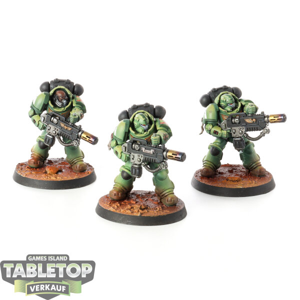 Space Marines - 3x Primaris Eradicators - bemalt