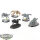 Space Wolves - 5 x Fenrisian Wolves - bemalt