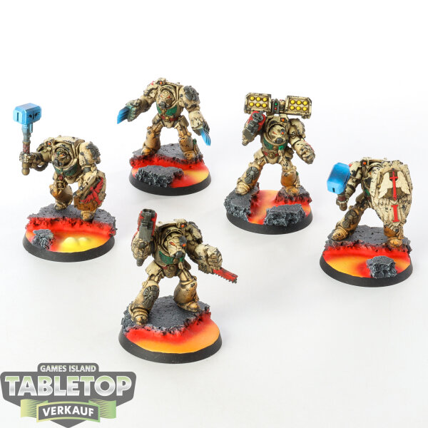 Dark Angels - 5 x Deathwing Terminator Squad - bemalt