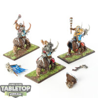 Ogre Kingdoms - 3x Mournfang Pack - bemalt