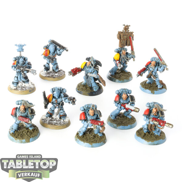 Space Wolves - 10 Grey Hunters - teilweise bemalt