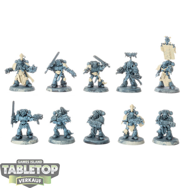 Space Wolves - 10 x Grey Hunters - teilweise bemalt