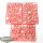 Adeptus Mechanicus - 10x Skitarii Rangers - im Gussrahmen