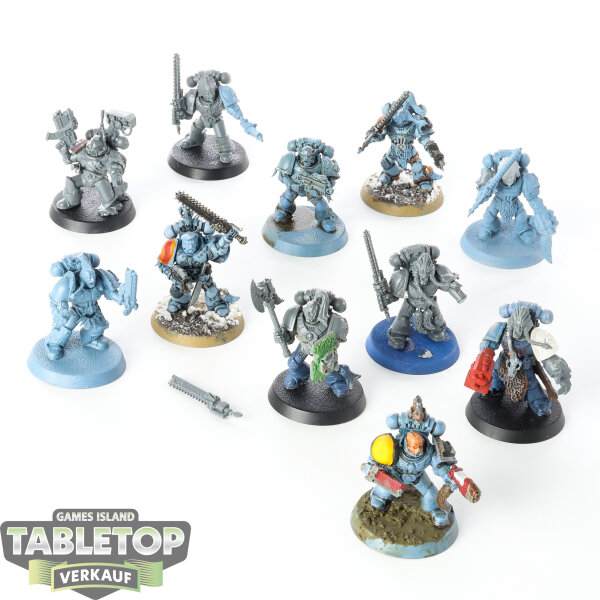Space Wolves - 11x Graummähnen (Classic) - teilweise bemalt