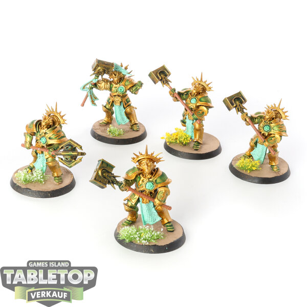 Stormcast Eternals - 5x Protector - bemalt