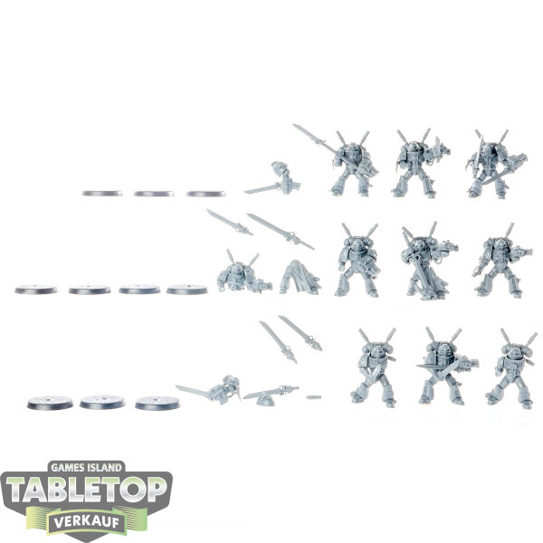 Grey Knights - 10x Grey Knights Interceptor Squad - unbemalt