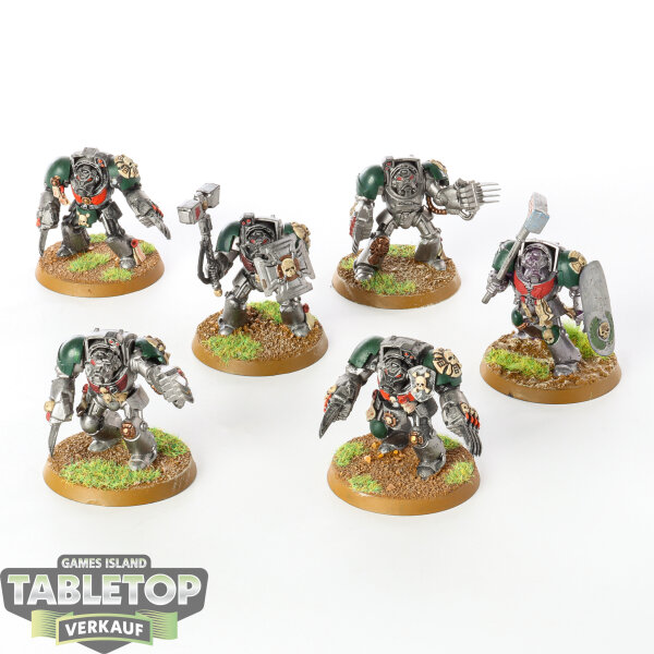 Dark Angels - 6 x Terminator Assault Squad - bemalt