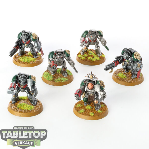 Dark Angels - 6 x Terminator Squad klassisch - bemalt