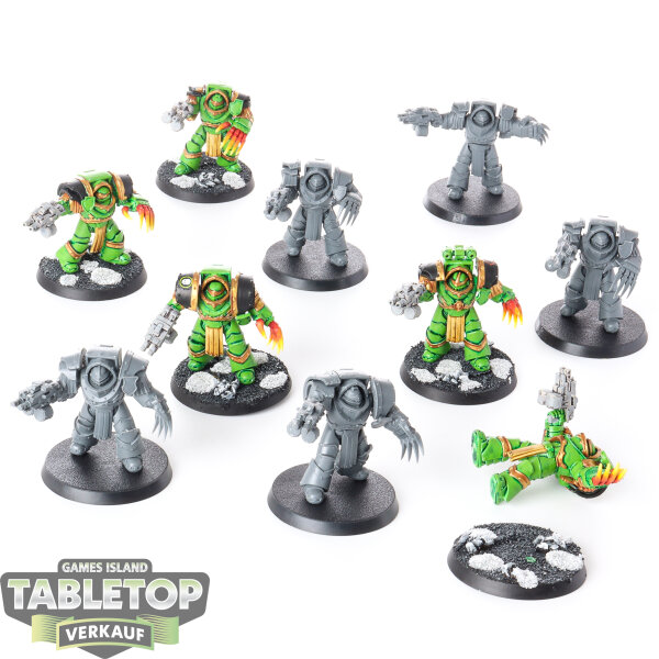 Horus Heresy - 10 x Salamanders Legion Cataphractii Terminator Squad - teilweise bemalt