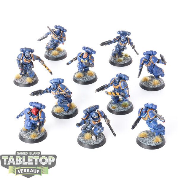 Ultramarines - 10 x Assault Intercessors - bemalt