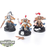 Adeptus Custodes - 3 x Allarus Custodians - bemalt
