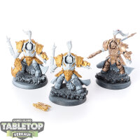 Adeptus Custodes - 3 x Allarus Custodians - teilweise bemalt