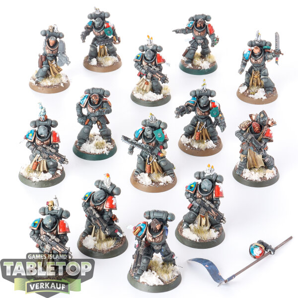 Space Marines - 14x Intercessors - bemalt